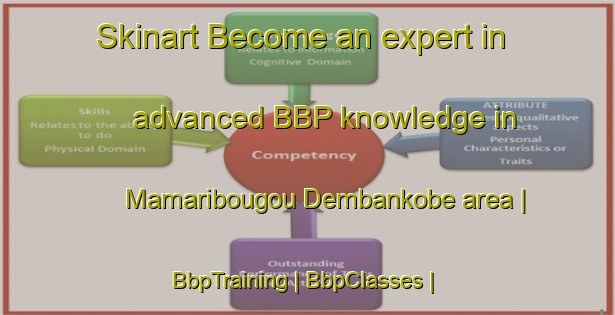 Skinart Become an expert in advanced BBP knowledge in Mamaribougou Dembankobe area | BbpTraining | BbpClasses | SkinartTraining-Mali